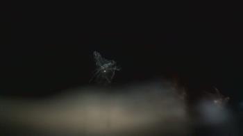 Weather camera view of Sandy Creek School.