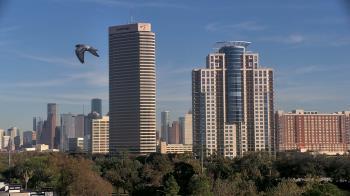 Weather camera view of St Thomas High School.