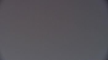 Weather camera view of Greystar.