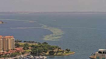 Weather camera view of Greystar East.