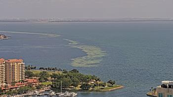 Weather camera view of Greystar East.