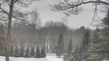 Weather camera view of Sky Valley Lodge.