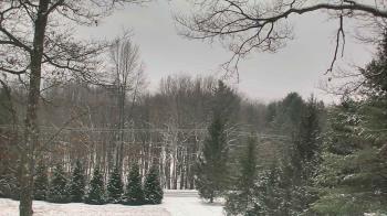 Weather camera view of Sky Valley Lodge.
