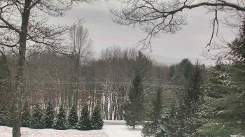 Weather camera view of Sky Valley Lodge.