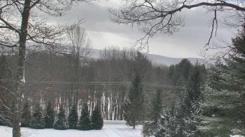 Weather camera view of Sky Valley Lodge.