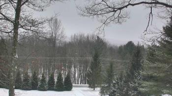 Weather camera view of Sky Valley Lodge.