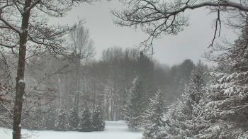 Weather camera view of Sky Valley Lodge.