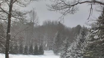Weather camera view of Sky Valley Lodge.
