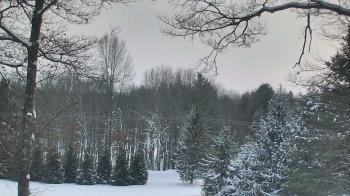 Weather camera view of Sky Valley Lodge.
