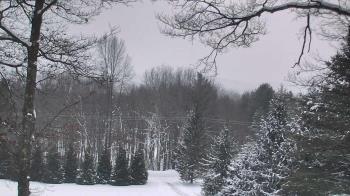 Weather camera view of Sky Valley Lodge.