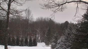 Weather camera view of Sky Valley Lodge.