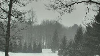 Weather camera view of Sky Valley Lodge.