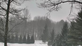 Weather camera view of Sky Valley Lodge.