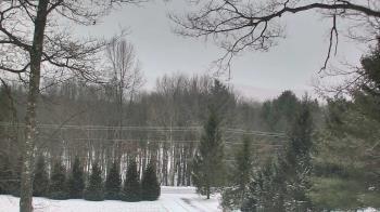 Weather camera view of Sky Valley Lodge.