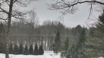 Weather camera view of Sky Valley Lodge.