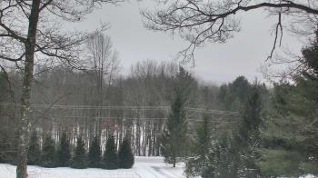 Weather camera view of Sky Valley Lodge.