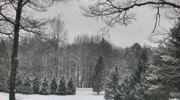 Weather camera view of Sky Valley Lodge.