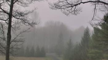 Weather camera view of Sky Valley Lodge.