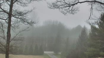 Weather camera view of Sky Valley Lodge.