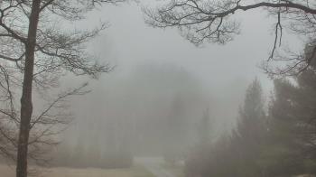 Weather camera view of Sky Valley Lodge.