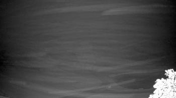 Weather camera view of The Clubs at Houston Oaks.