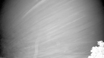 Weather camera view of The Clubs at Houston Oaks.