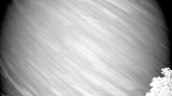 Weather camera view of The Clubs at Houston Oaks.