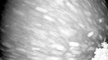 Weather camera view of The Clubs at Houston Oaks.