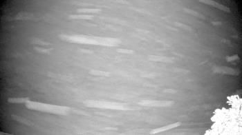 Weather camera view of The Clubs at Houston Oaks.