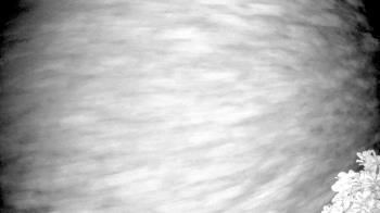 Weather camera view of The Clubs at Houston Oaks.