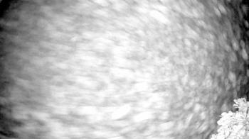 Weather camera view of The Clubs at Houston Oaks.