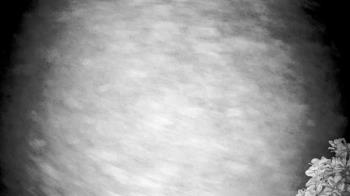 Weather camera view of The Clubs at Houston Oaks.