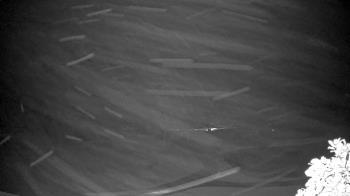 Weather camera view of The Clubs at Houston Oaks.