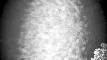 Weather camera view of The Clubs at Houston Oaks.