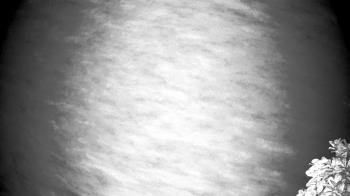 Weather camera view of The Clubs at Houston Oaks.