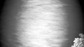 Weather camera view of The Clubs at Houston Oaks.