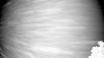 Weather camera view of The Clubs at Houston Oaks.