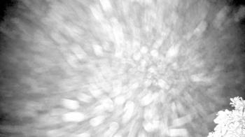 Weather camera view of The Clubs at Houston Oaks.