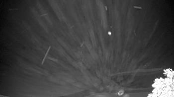 Weather camera view of The Clubs at Houston Oaks.