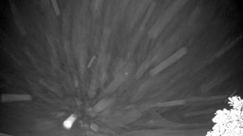 Weather camera view of The Clubs at Houston Oaks.