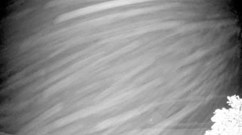 Weather camera view of The Clubs at Houston Oaks.