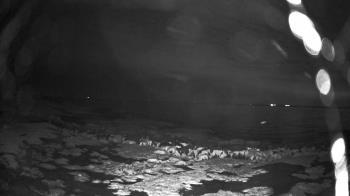 Weather camera view of Outer Island  (Thimble Island Group).