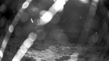 Weather camera view of Outer Island  (Thimble Island Group).