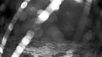 Weather camera view of Outer Island  (Thimble Island Group).