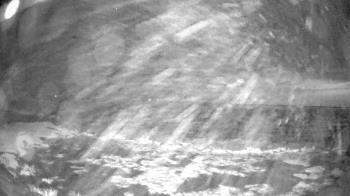 Weather camera view of Outer Island (Thimble Island Group).