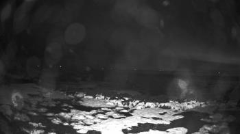 Weather camera view of Outer Island (Thimble Island Group).