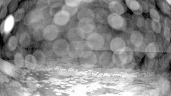 Weather camera view of Outer Island  (Thimble Island Group).