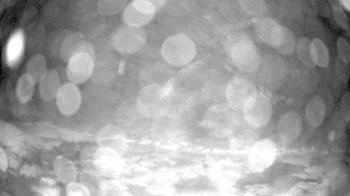 Weather camera view of Outer Island  (Thimble Island Group).
