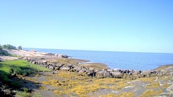 Weather camera view of Outer Island (Thimble Island Group).