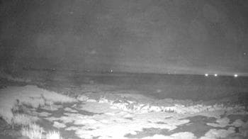 Weather camera view of Outer Island  (Thimble Island Group).